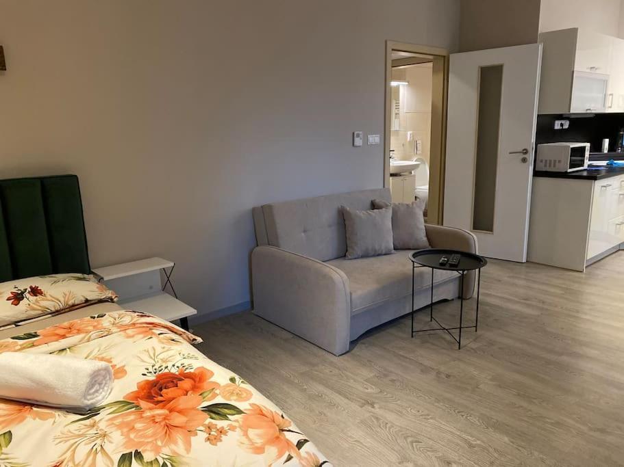 Garden Apartment Karolina 俄斯特拉发 外观 照片