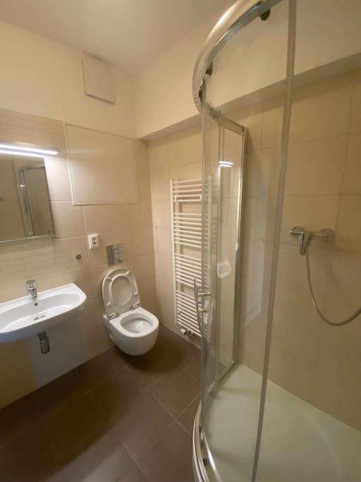 Garden Apartment Karolina 俄斯特拉发 外观 照片